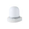 1pc Random Color Multifunction Cleaning Brush